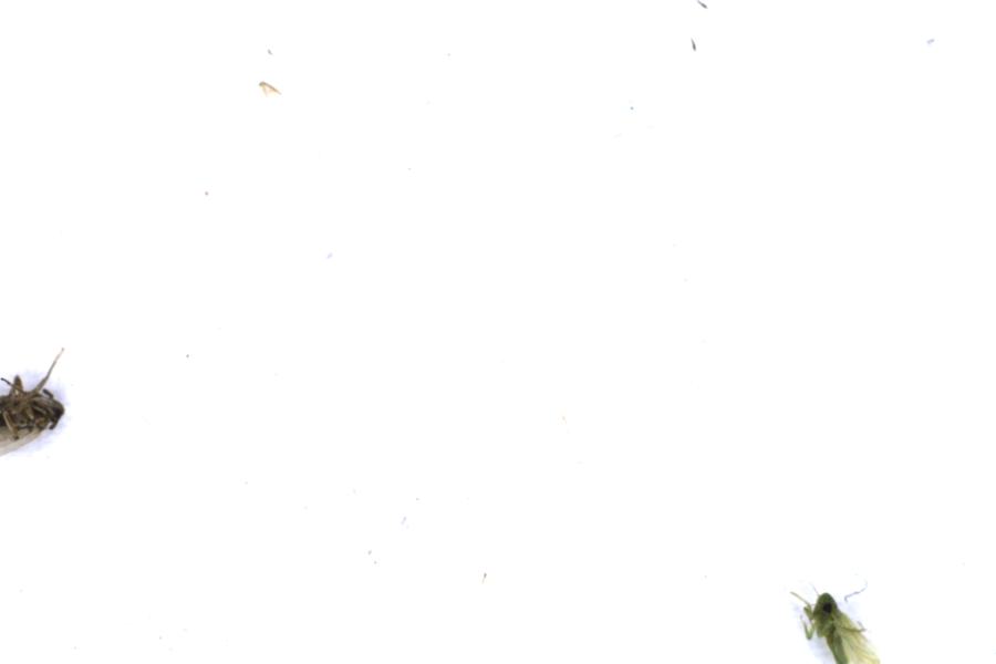 Image 22